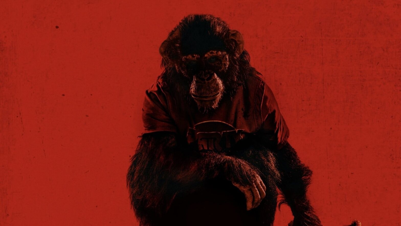 Primate Box Office