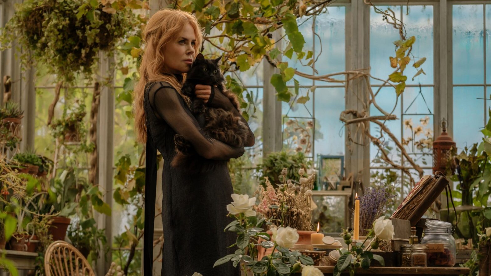 Practical Magic 2 box office