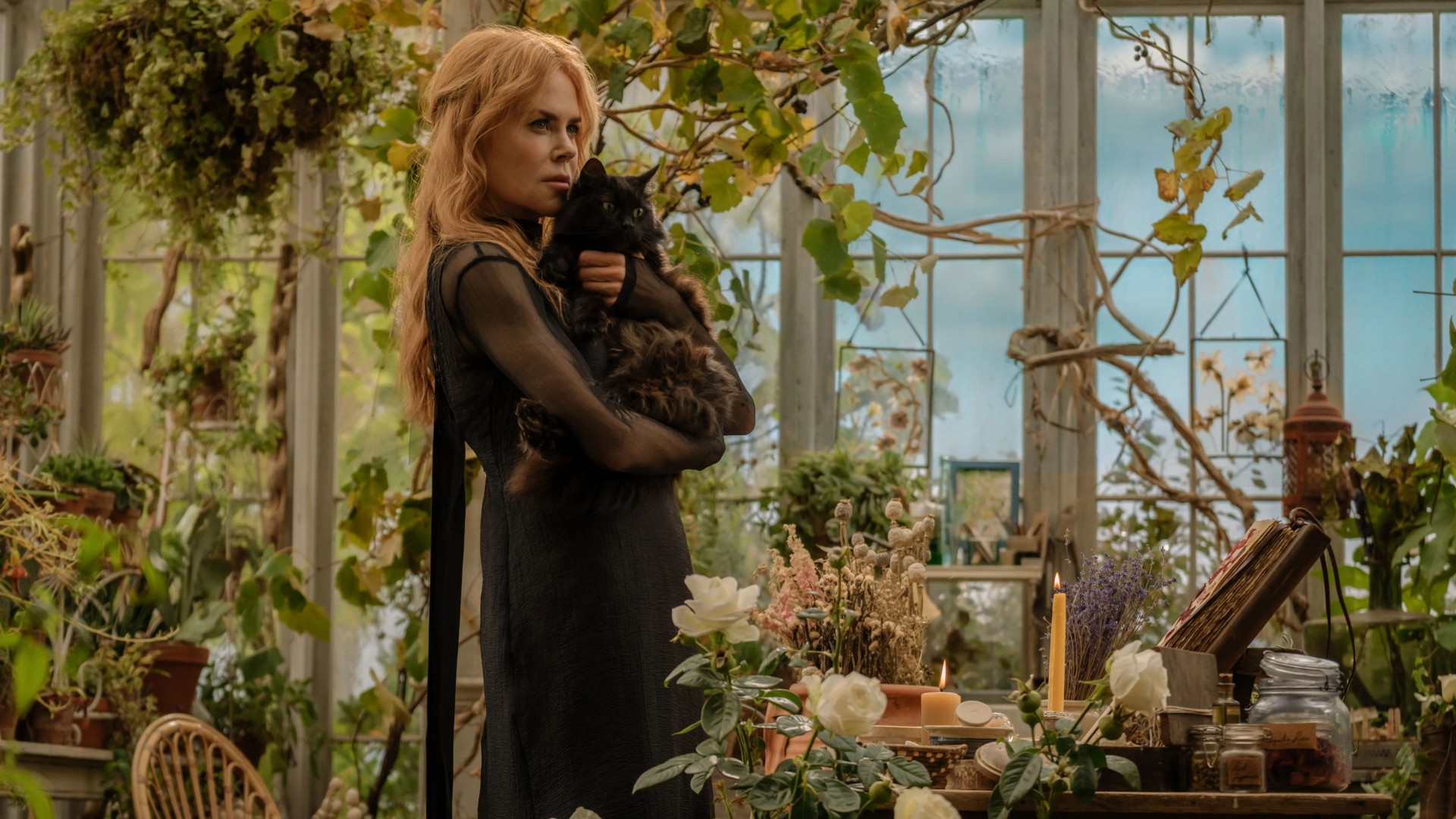 Practical Magic 2 box office